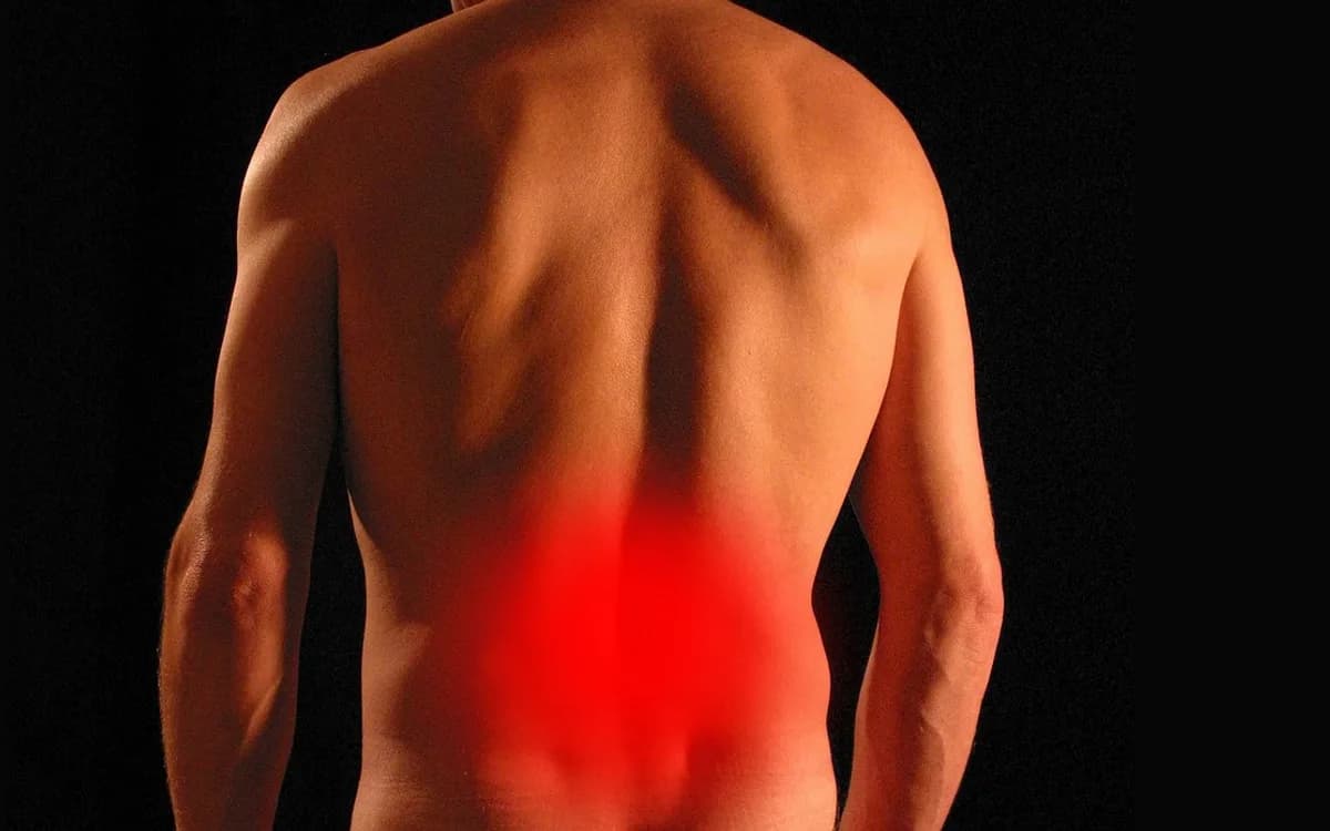back, pain, spine, injury, backache, sciatica