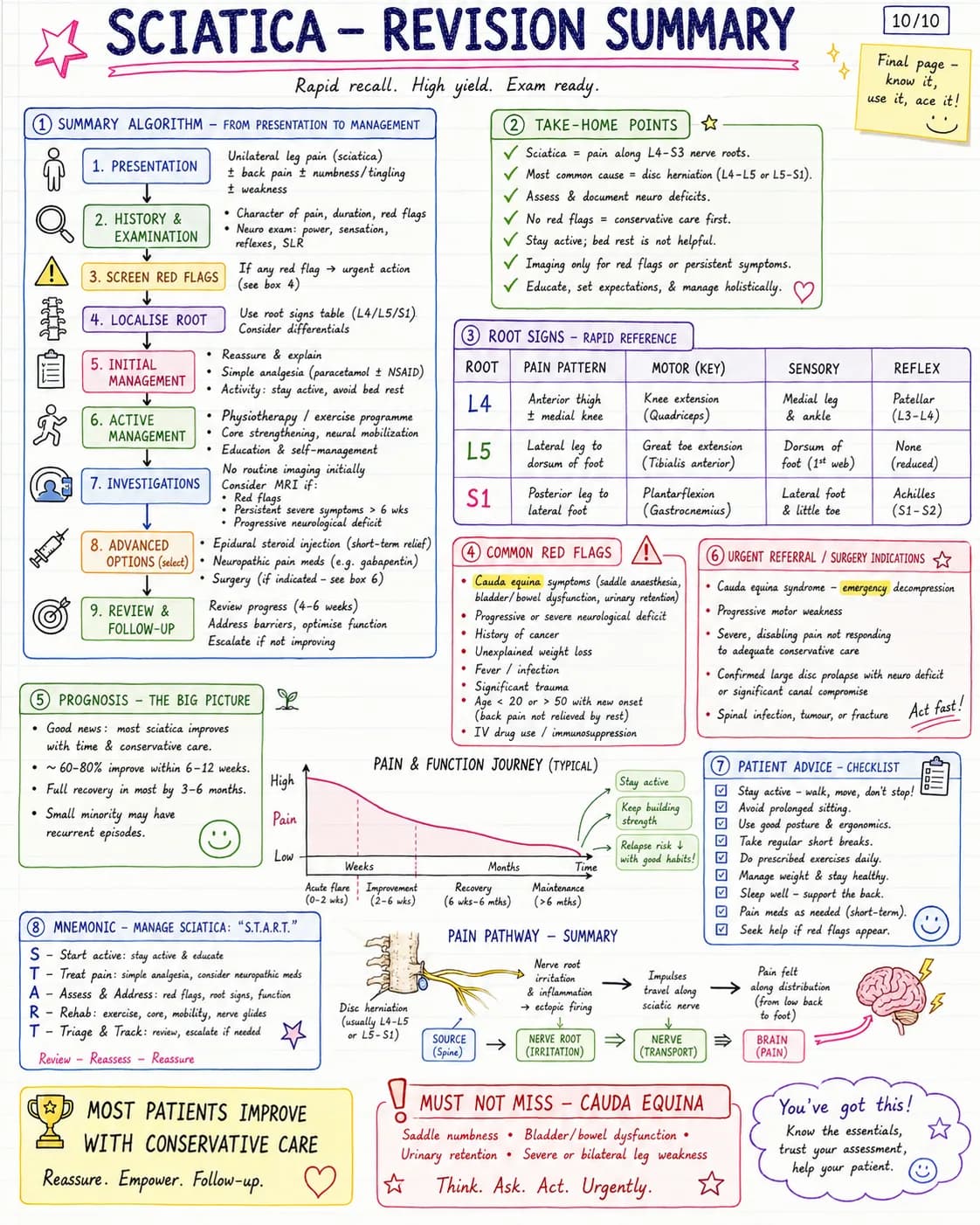 Sciatica physiotherapy notes