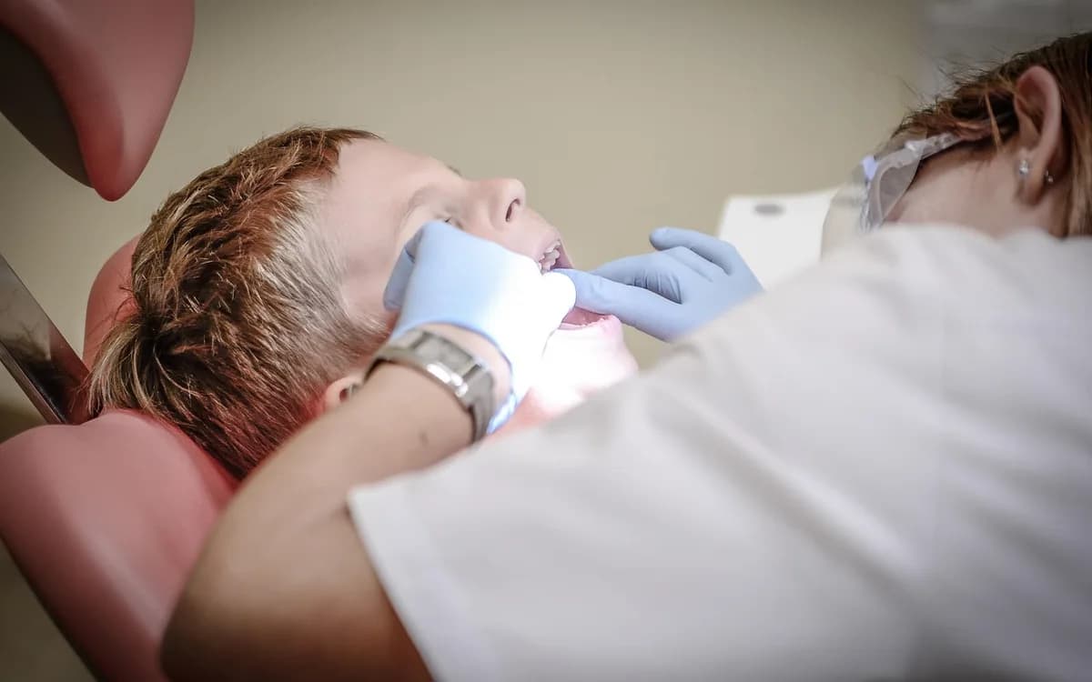 dentist, patient, dental care, medical, oral care, oral hygiene