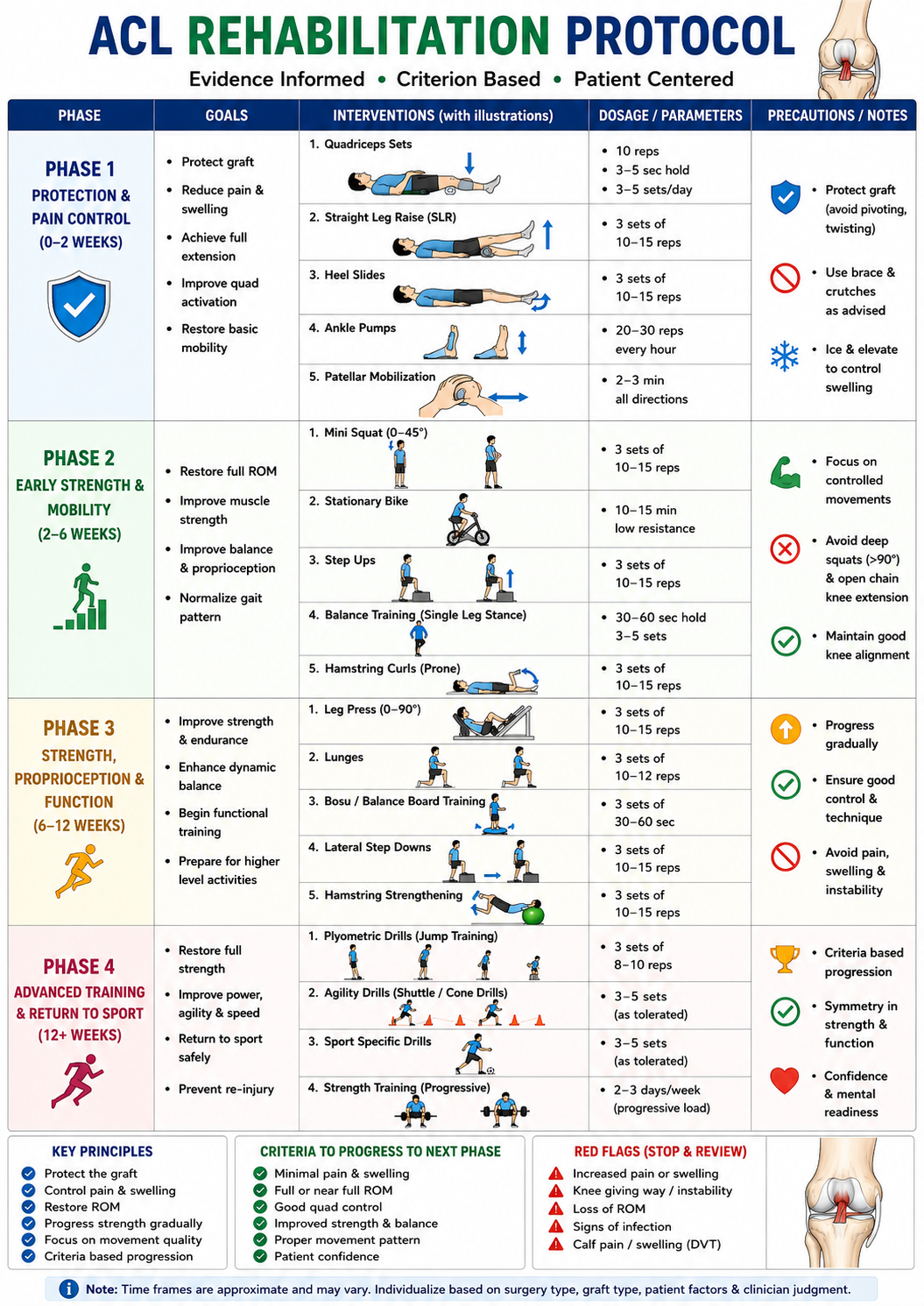 Acl rehab phase wise protocol with excercise. 