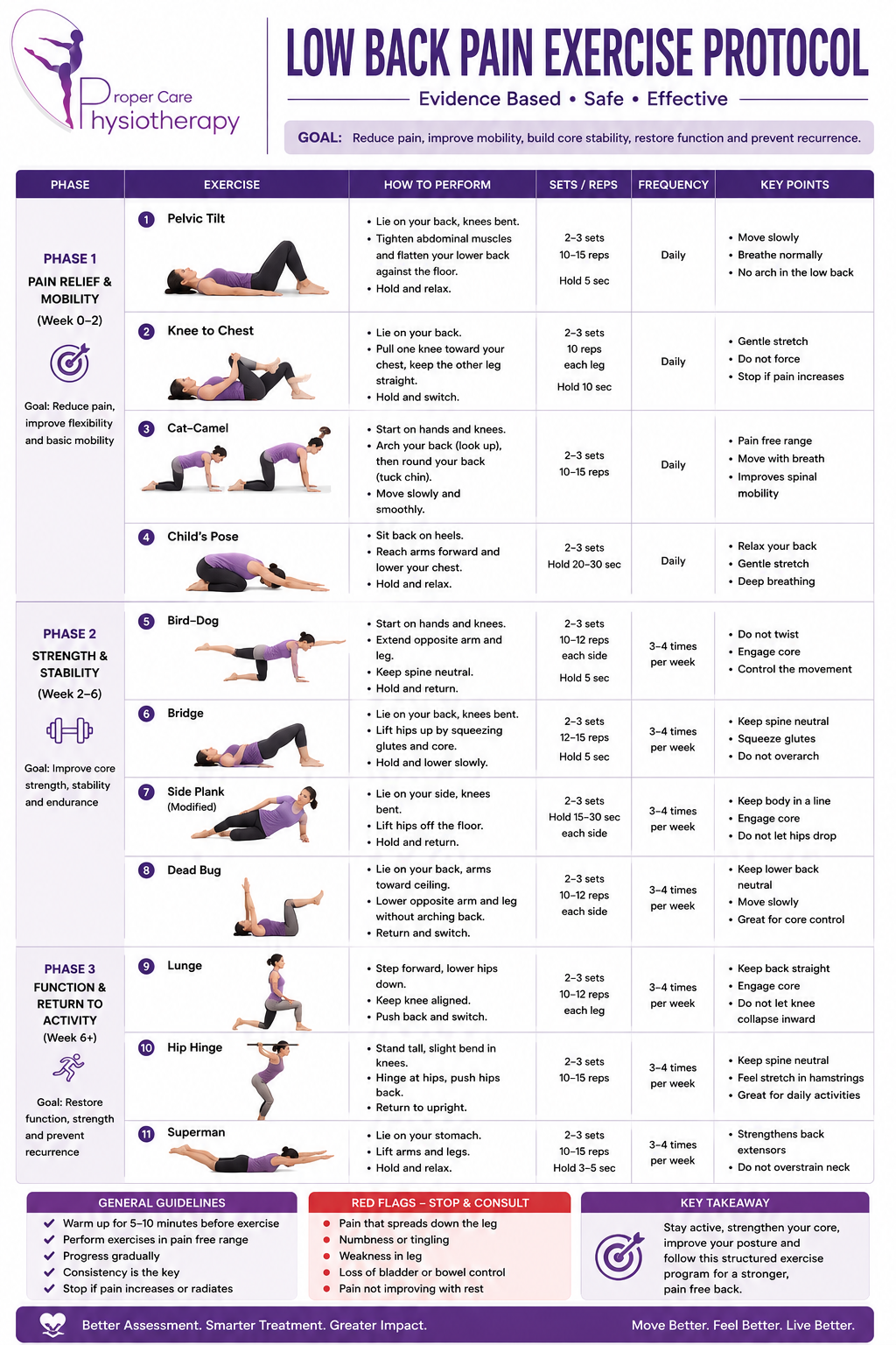11 Low Back Pain Exercises Arranged in the Correct Clinical Progression 